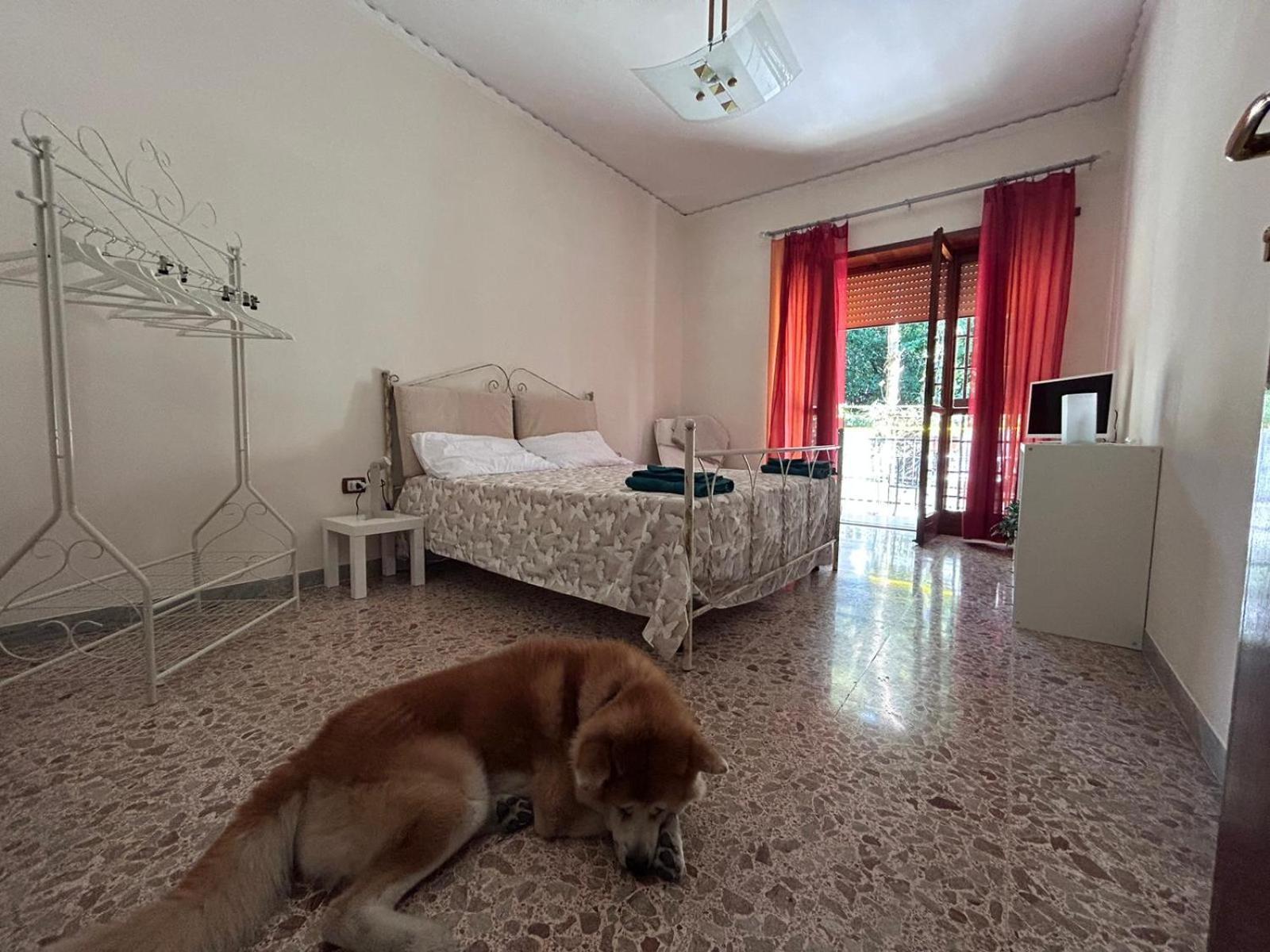 Appartamento Laura Domus Portici Esterno foto